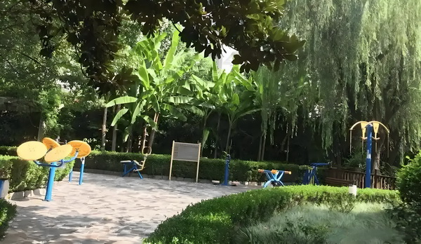 积分入户什么时候开放_53岁朱茵住山里开破车？ 不仅医就了社诊民就区居方便